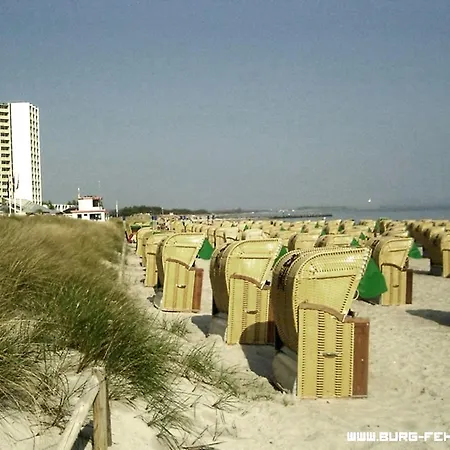 Heringsmoewe In Neue Tiefe By Interhome