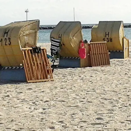 Heringsmoewe In Neue Tiefe By Interhome Neue Tiefe Fehmarn