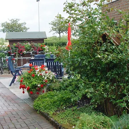Heringsmoewe In Neue Tiefe By Interhome